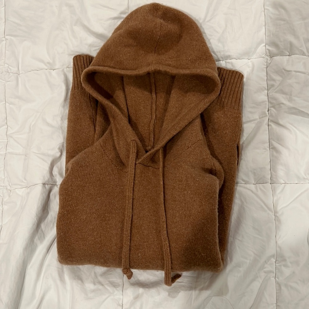 Everlane 100% Wool Hoodie Sweater
